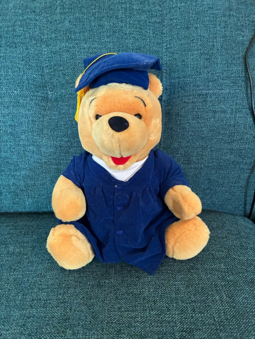 Disney Winnie the Pooh Plush in Blue Graduation Outfit